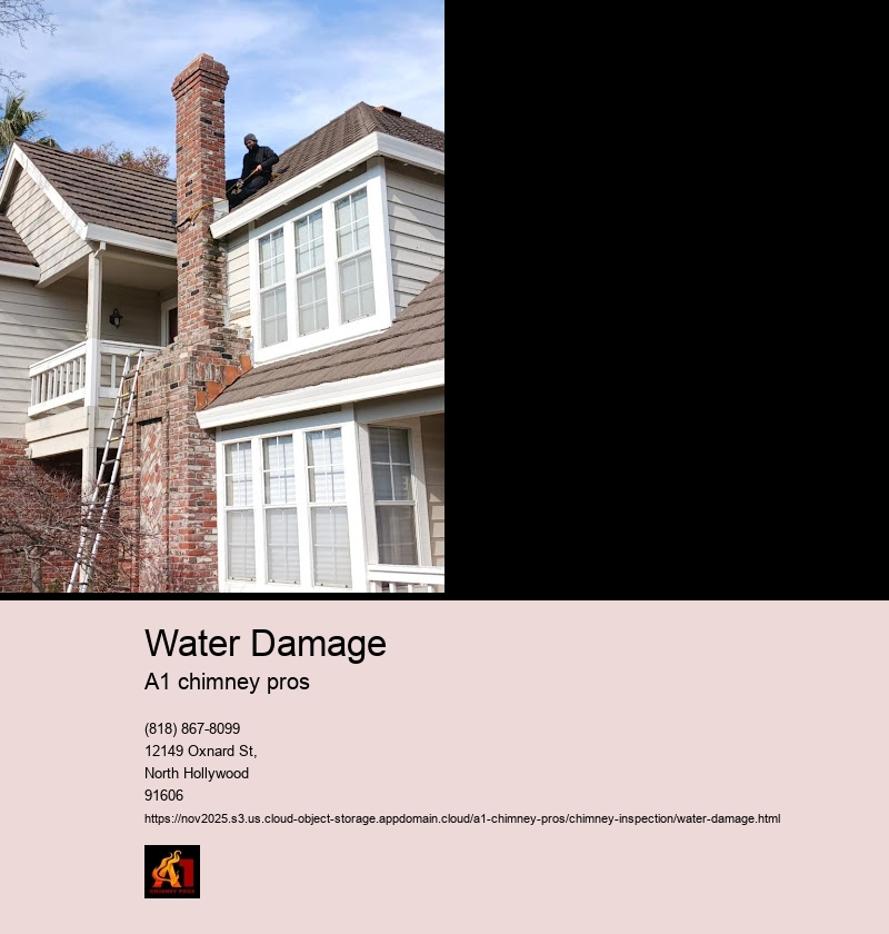 Signs of Water Damage in Chimneys