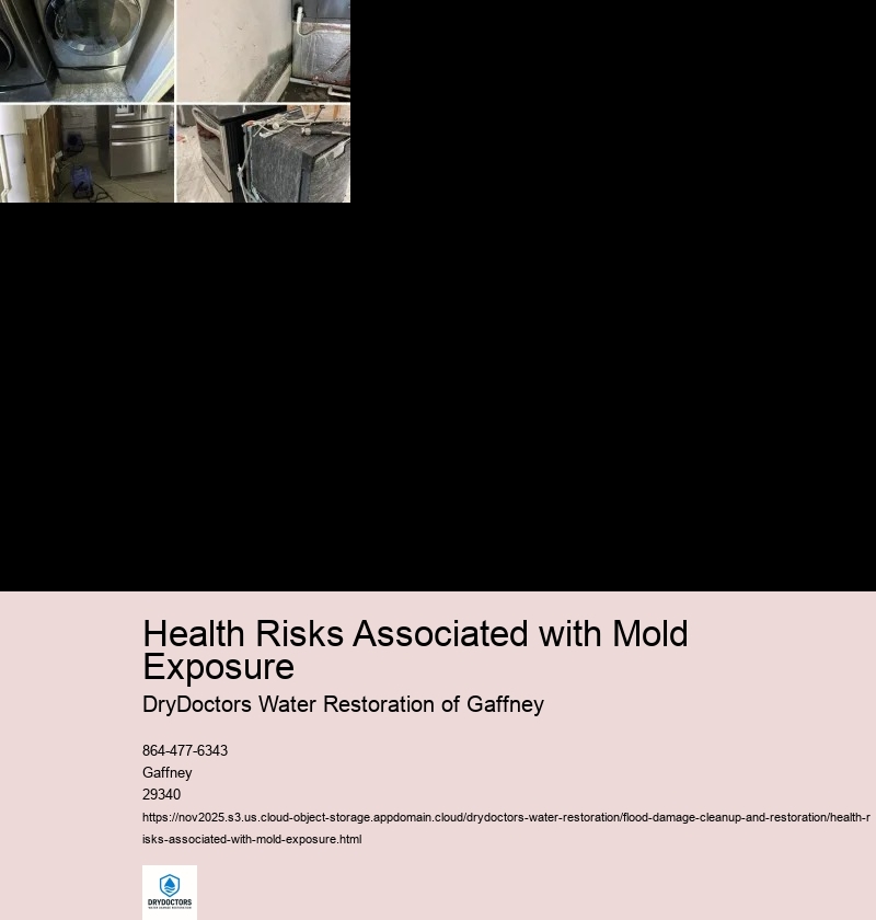 Health Risks of Mold Exposure