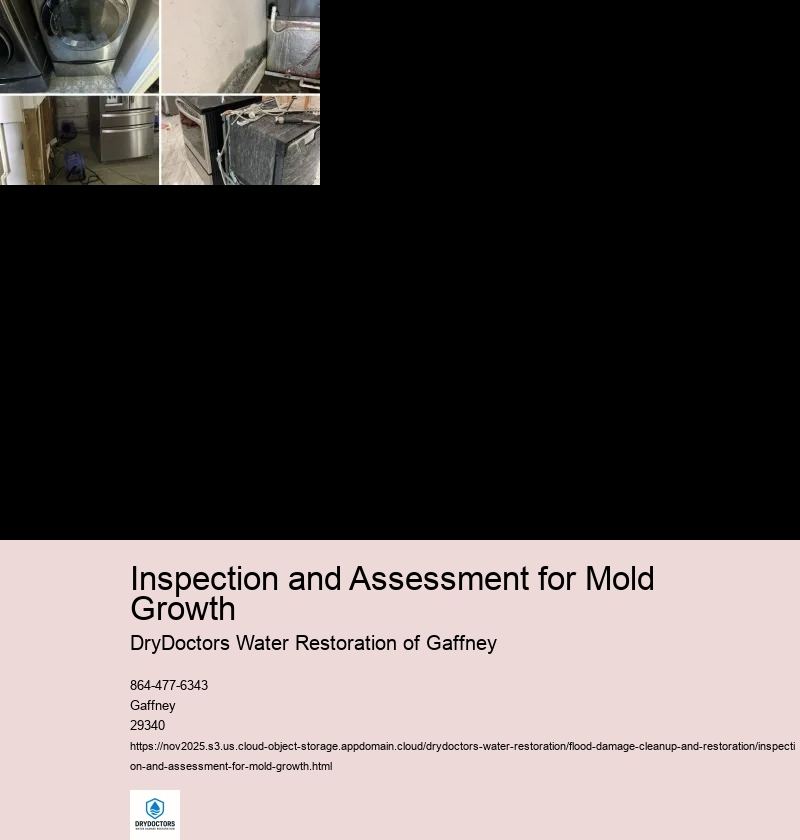 Identifying areas of mold growth