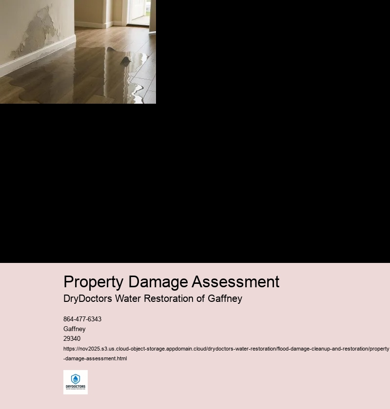 Documenting the Extent of Flood Damage