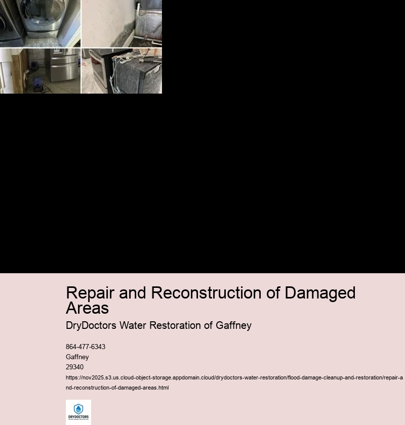 Inspection and Assessment of Damaged Areas