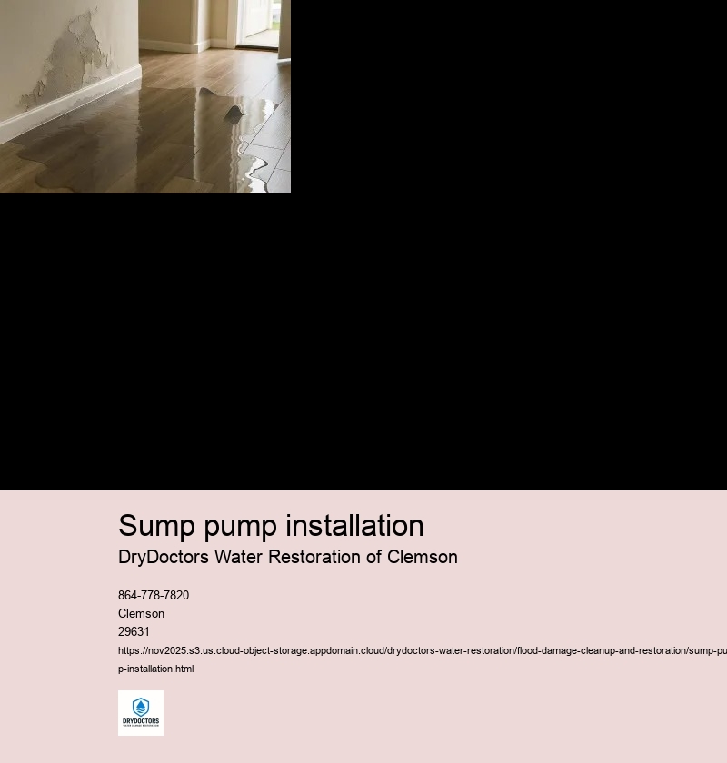 Selecting the right sump pump for your property