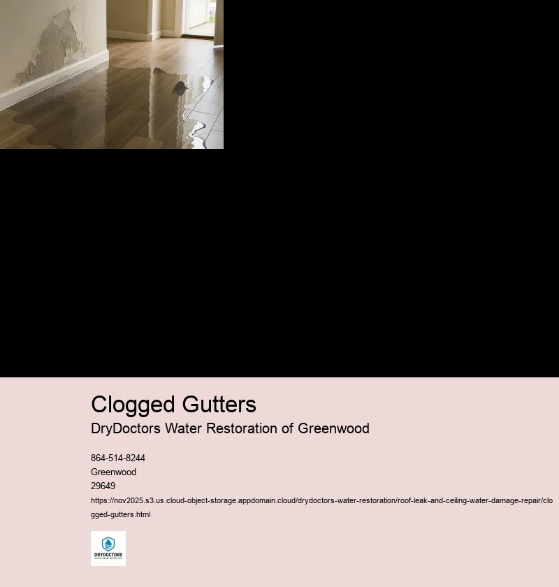 Signs of a Roof Leak Caused by Clogged Gutters