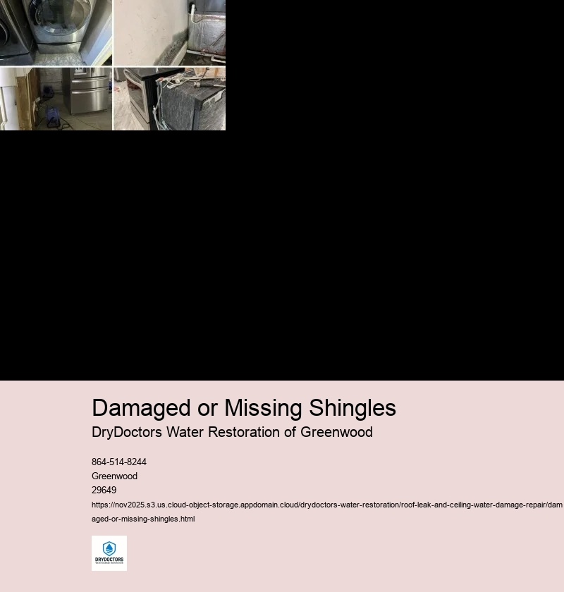 Causes of Damaged or Missing Shingles