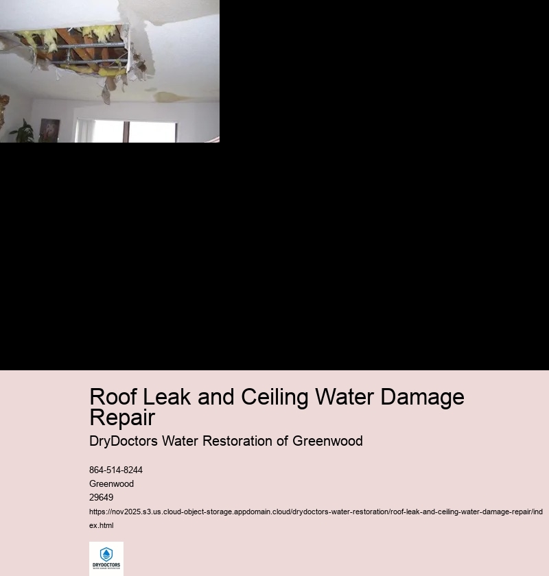 Identifying the source of the roof leak