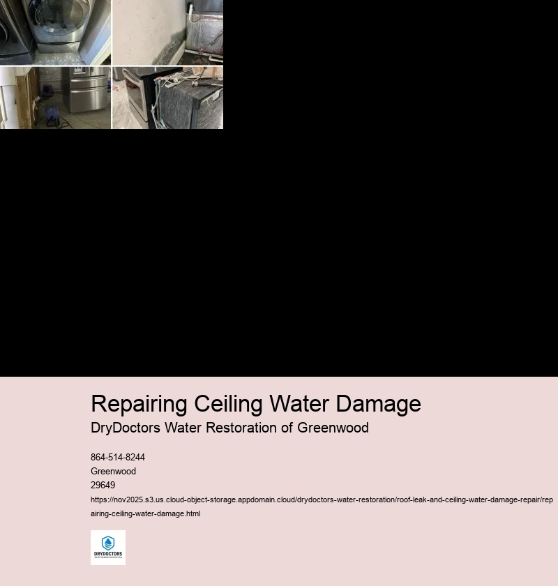 Assessing the extent of the damage