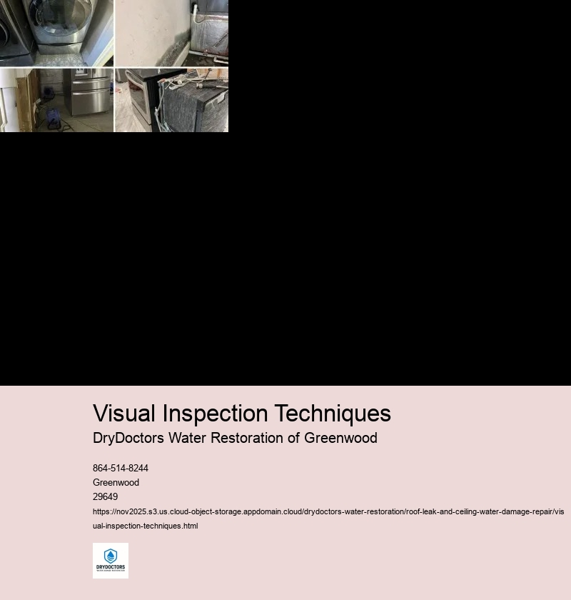 Identifying Common Signs of Roof Leaks