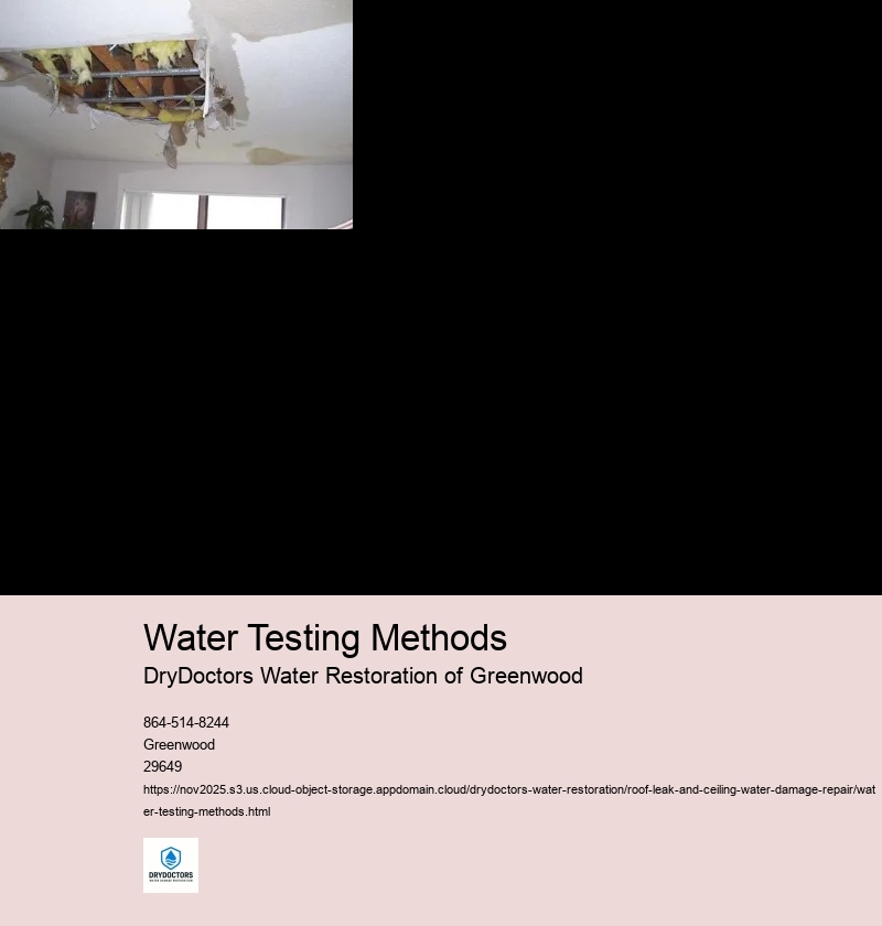 Importance of Regular Water Testing for Roof Leaks