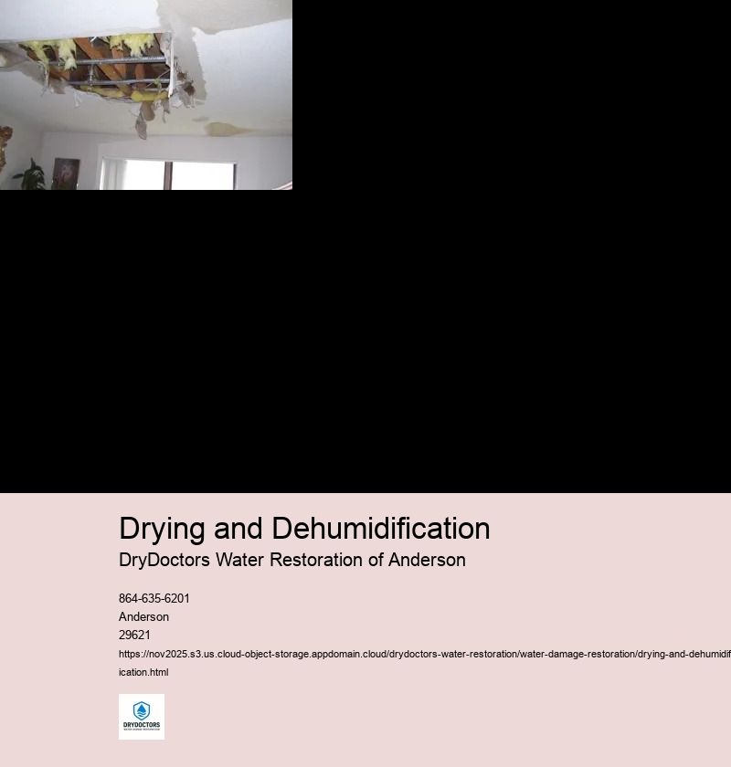 Types of Drying Equipment