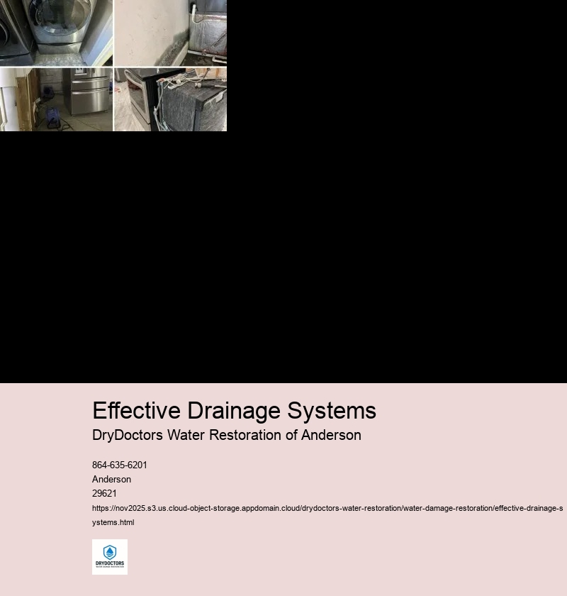 Importance of Proper Drainage Systems