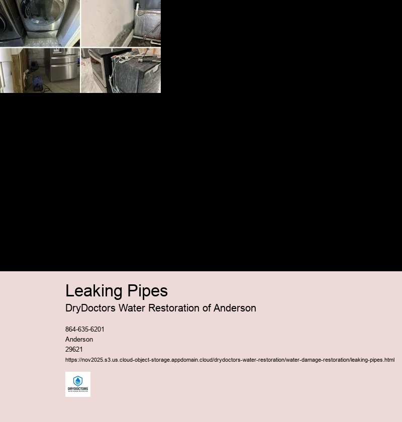 Identifying the source of the leak