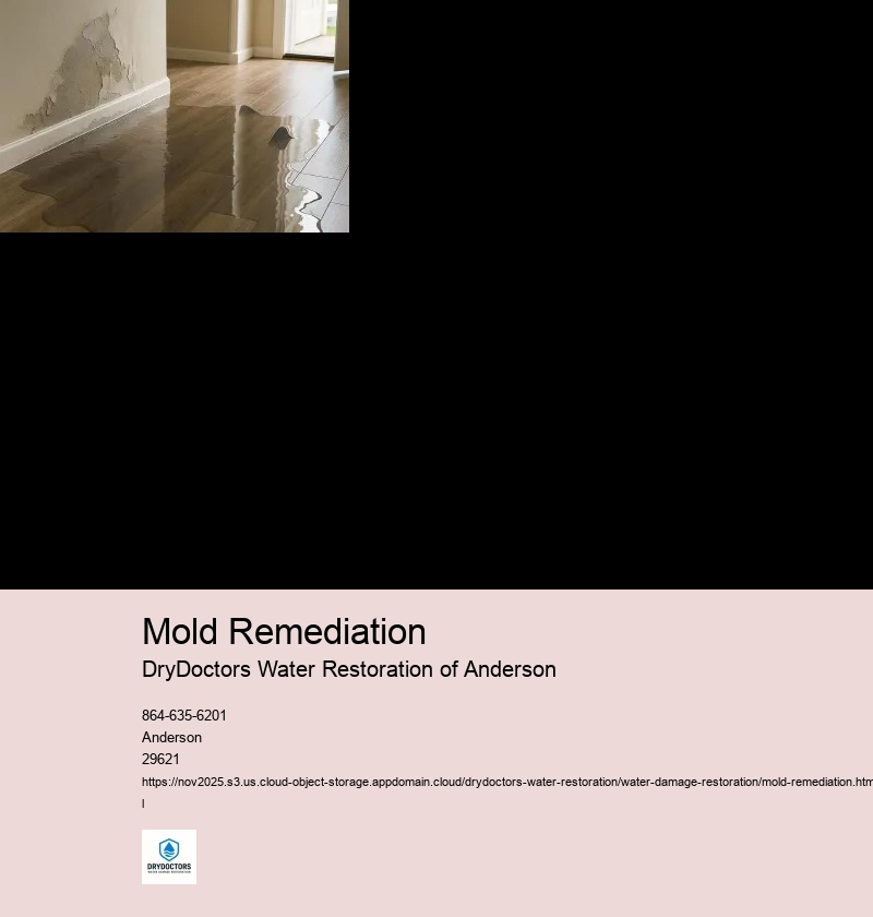 Identification of Mold Growth