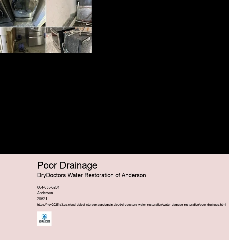 Impact of Poor Drainage on Water Damage