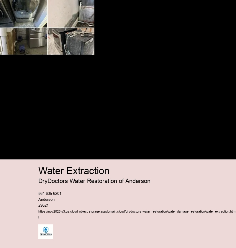 Methods of Water Extraction